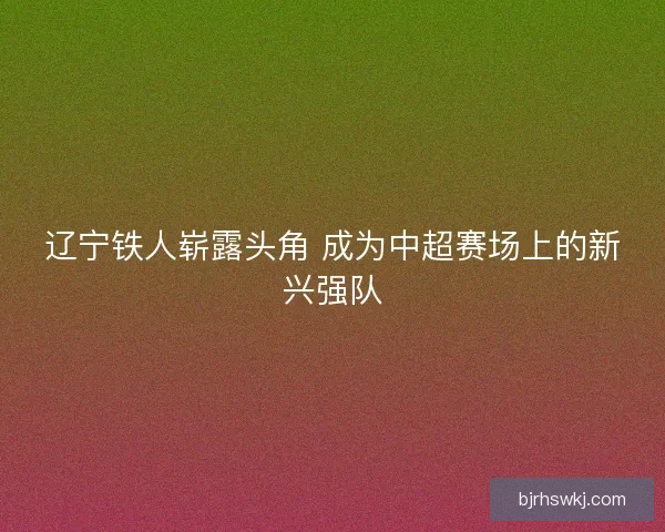 辽宁铁人崭露头角 成为中超赛场上的新兴强队