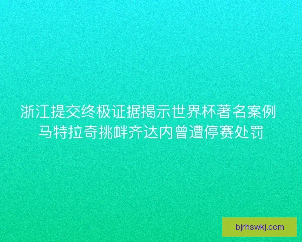 浙江提交终极证据揭示世界杯著名案例 马特拉奇挑衅齐达内曾遭停赛处罚